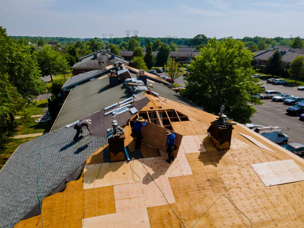 Best Gutter Installation and Roofing  in Rosend, LA